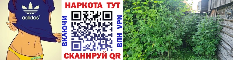 Наркошоп купить Кокаин  Мефедрон  Alpha-PVP  Марихуана  Гашиш  Полесск