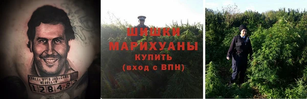 ECSTASY Богородск