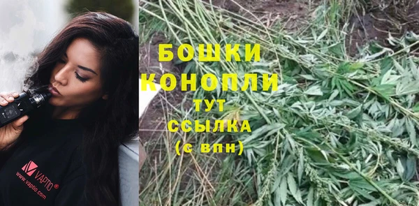 тгк Богородицк